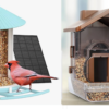 These Bird Feeders Have Onboard Cameras That Deliver Close-Ups and Live Streaming of Feathered Friends